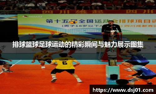 排球篮球足球运动的精彩瞬间与魅力展示图集